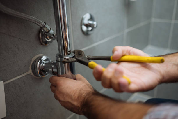 Best Local Plumber Services  in Warrior, AL
